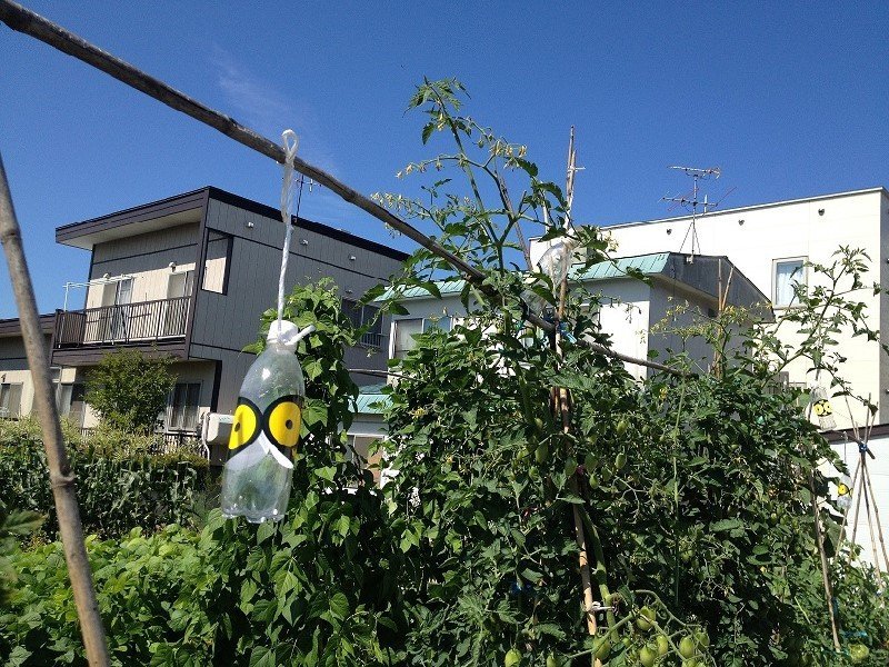 BRE on plastic bottle in garden