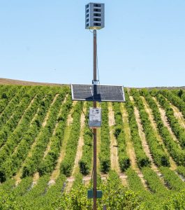 Bird Gard Bird Deterrent System Pacific Northwest 10