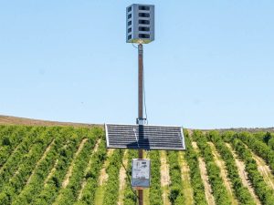 Bird Gard Bird Deterrent System Pacific Northwest 10