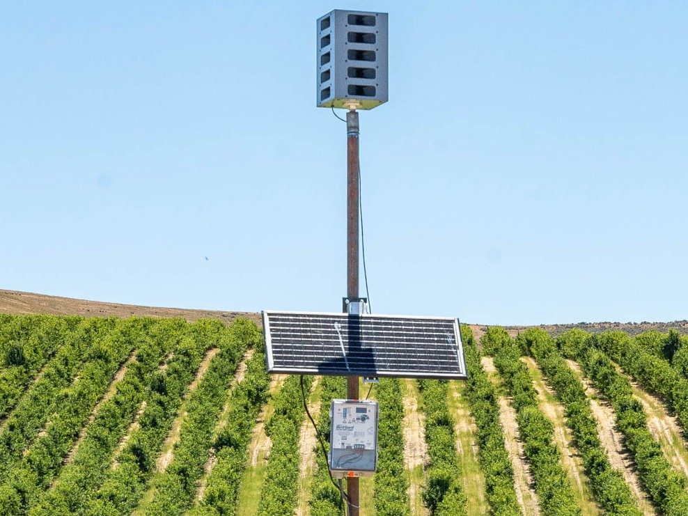Bird Gard Bird Deterrent System Pacific Northwest 10