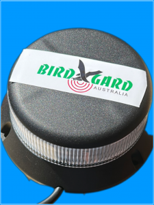 Bird Light Strobe