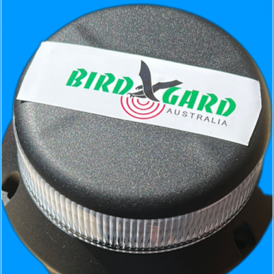 Bird Light Strobe