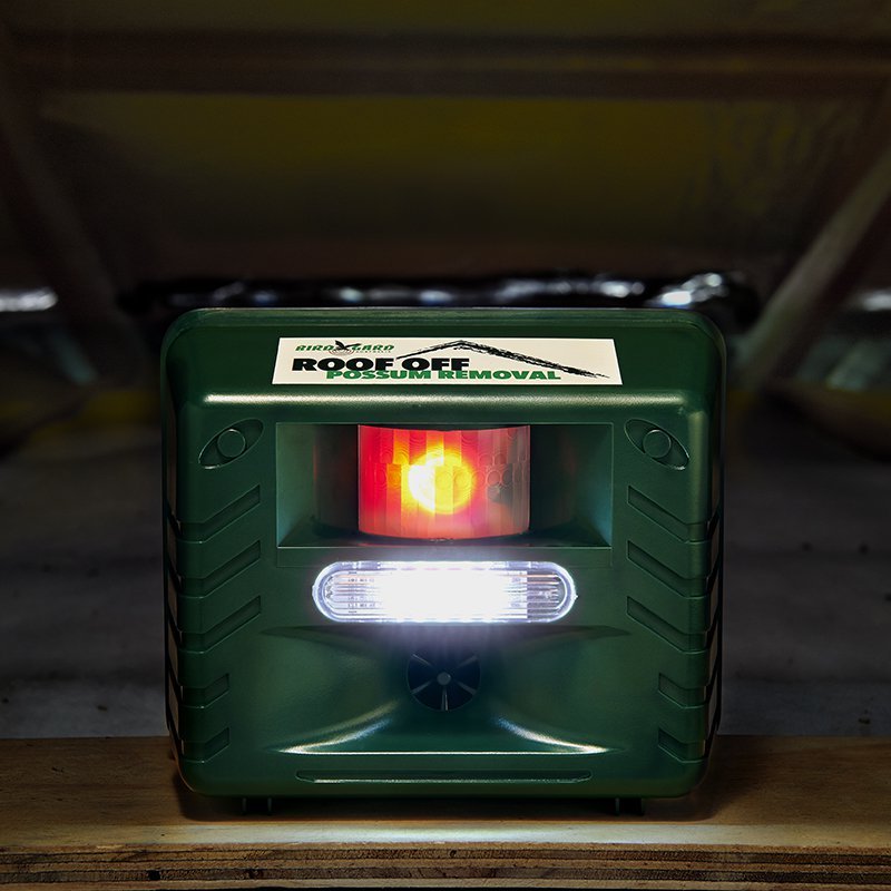 How to remove possums from a roof Bird Gard Australia