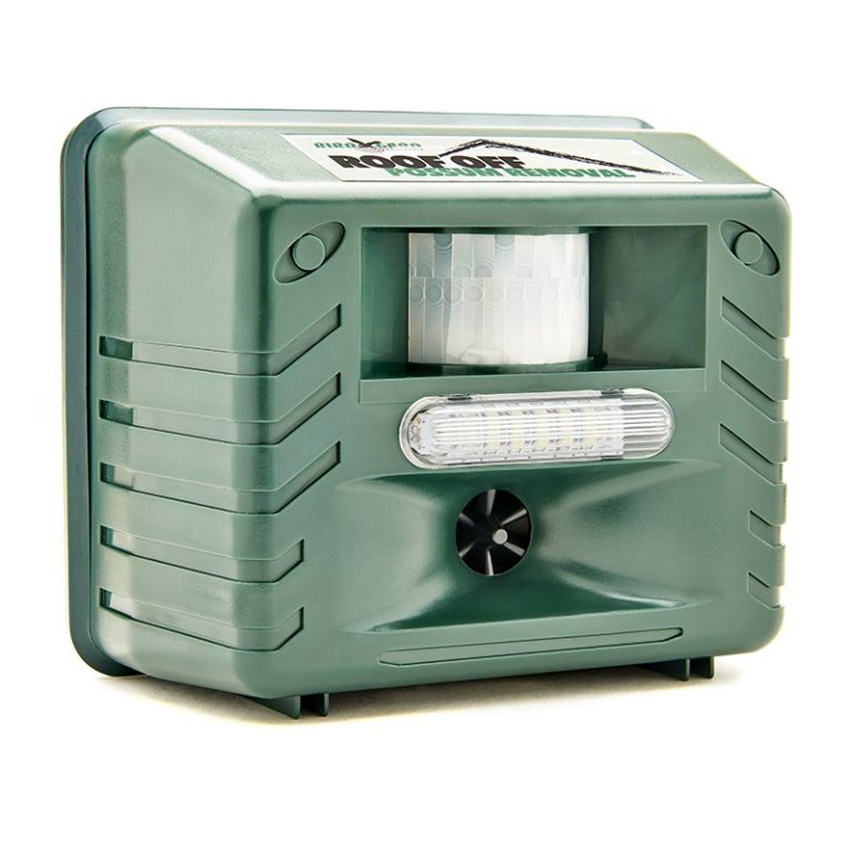 How to remove possums from a roof Bird Gard Australia