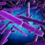 buruli bairnsdale flesh eating ulcer