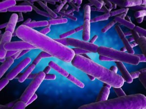 buruli bairnsdale flesh eating ulcer