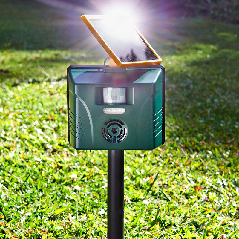 Solar Powered Possum Repeller