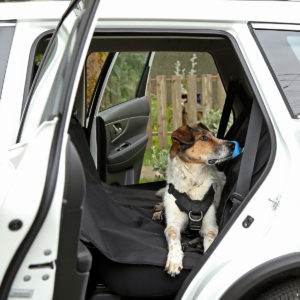 Car seat cover for dogs