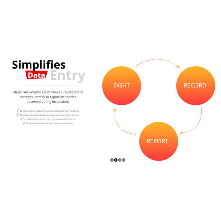 resized with padding